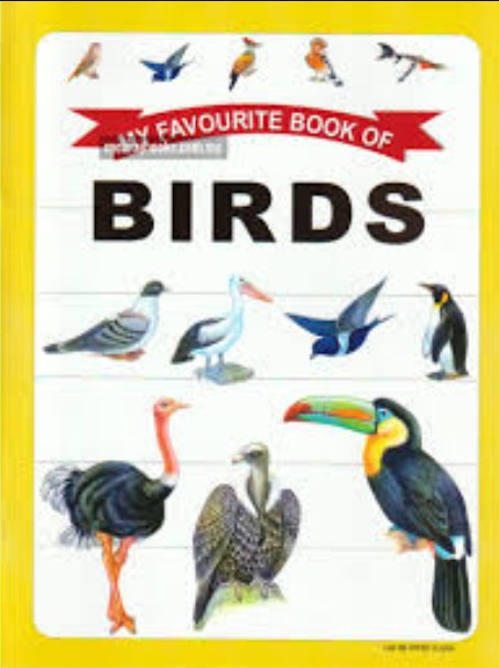 My Favourite Book of Birds(S)